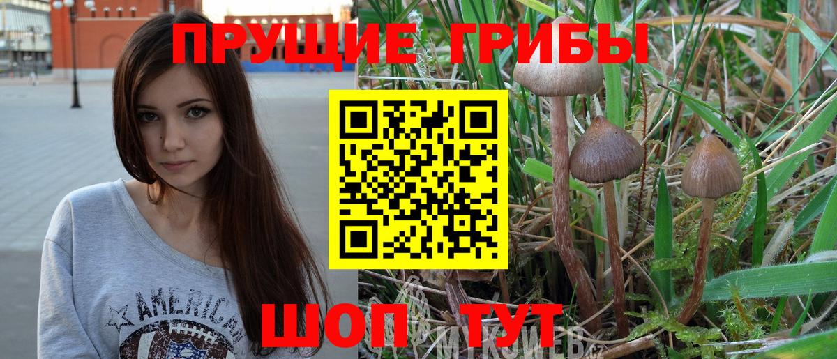Галлюциногенные грибы MAGIC MUSHROOMS Алейск