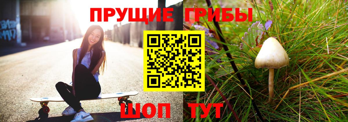 Псилоцибиновые грибы прущие грибы  цены   Галлюциногенные грибы Magic Shrooms  Алейск  Вход с VPN 